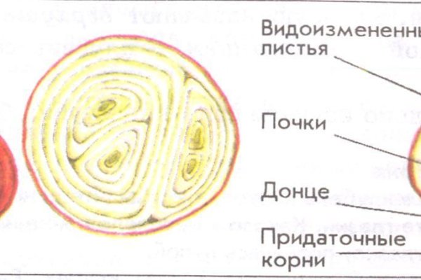 Кракен вход официальная ссылка