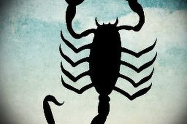Kraken19 at