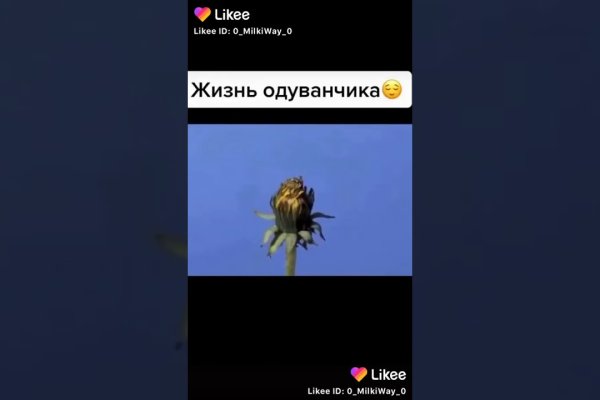 Кракен даркнет скачать