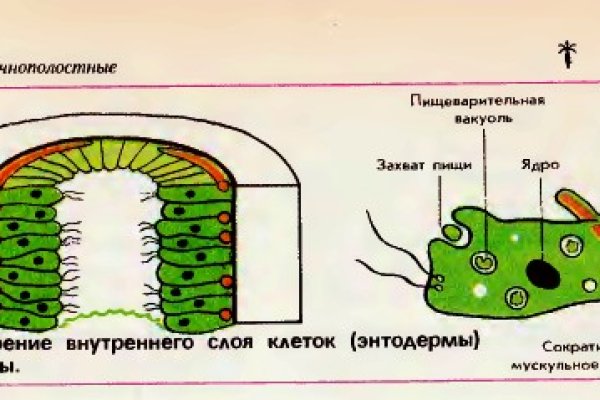 Ссылка кракен сайт зеркало