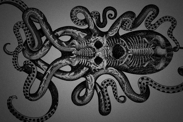Ссылка на кракен onion kraken dark link