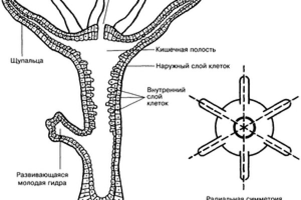 Кракен даркнет рабочая ссылка