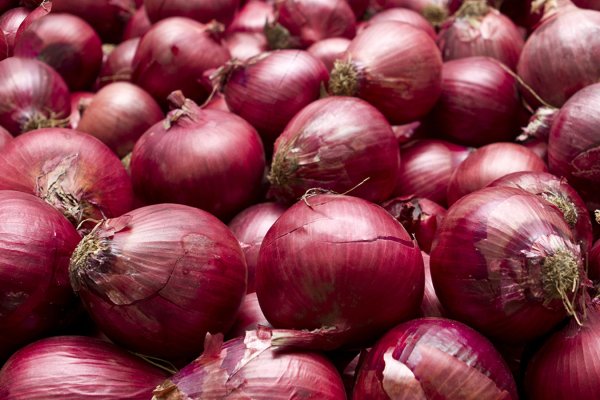 Сайт кракен официальный ссылка onion