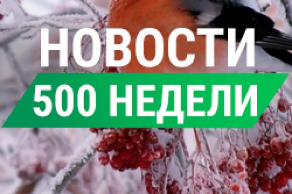 Кракен зеркало ссылка онлайн