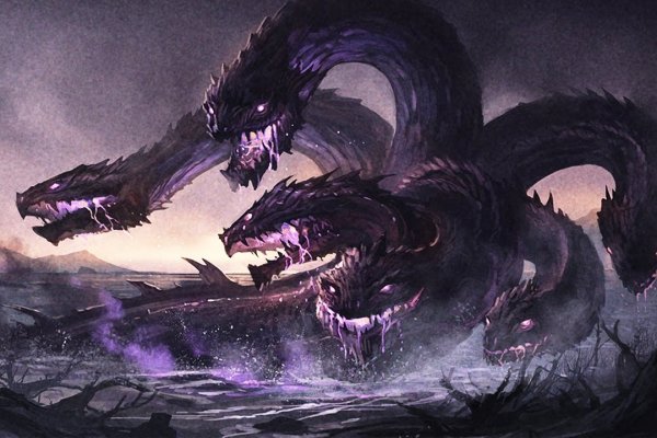 Kraken 24at